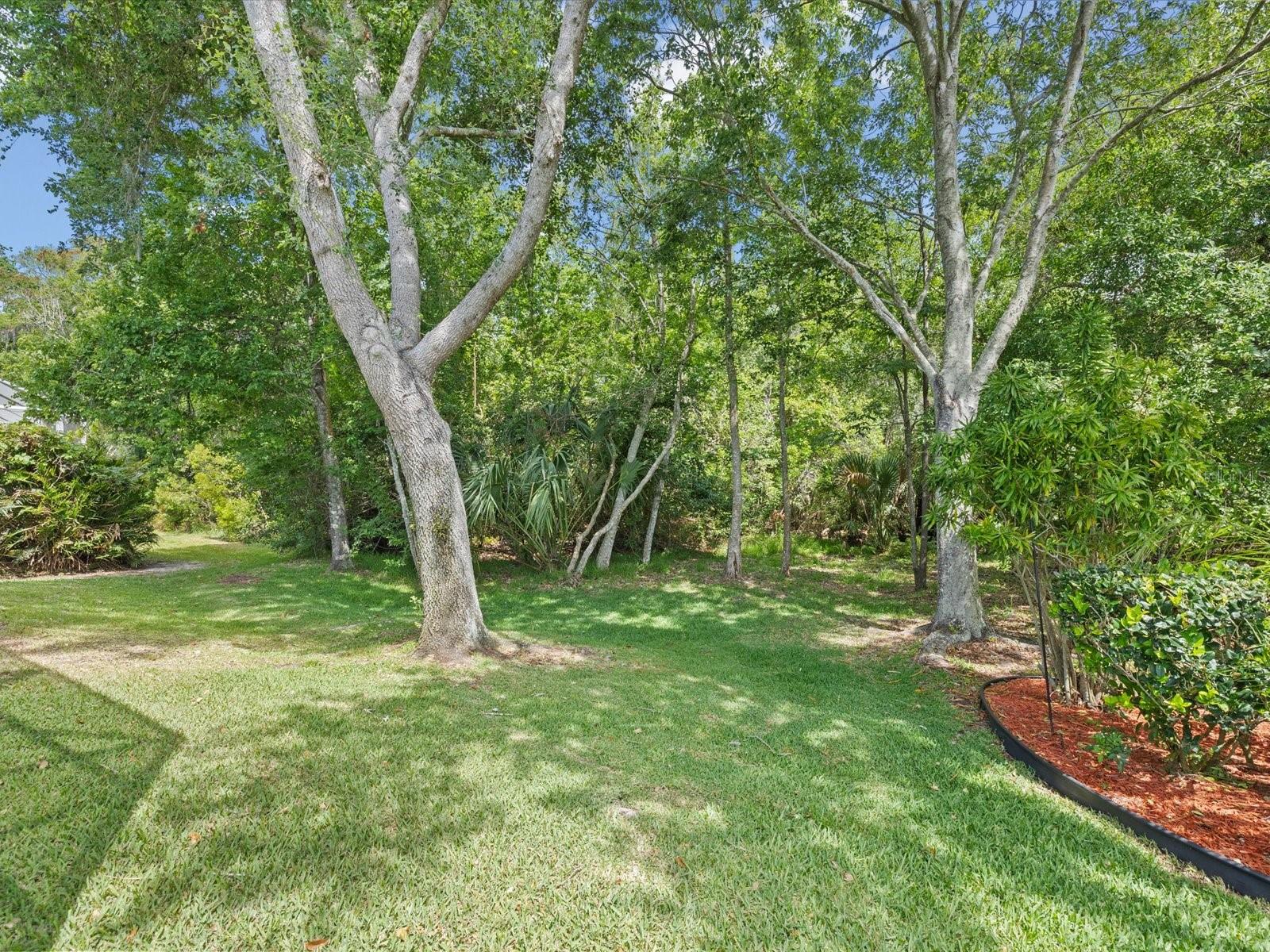 7935 CALINDRA CT, TRINITY, FL, 34655