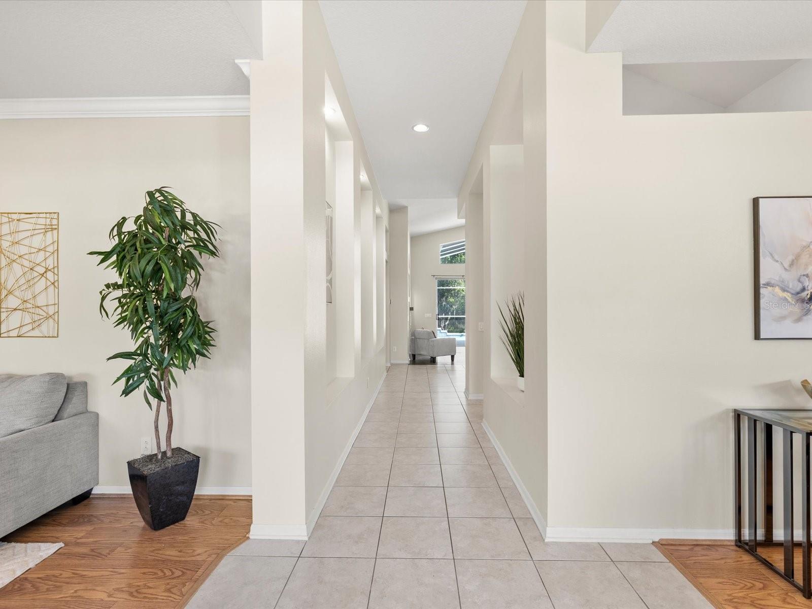 7935 CALINDRA CT, TRINITY, FL, 34655