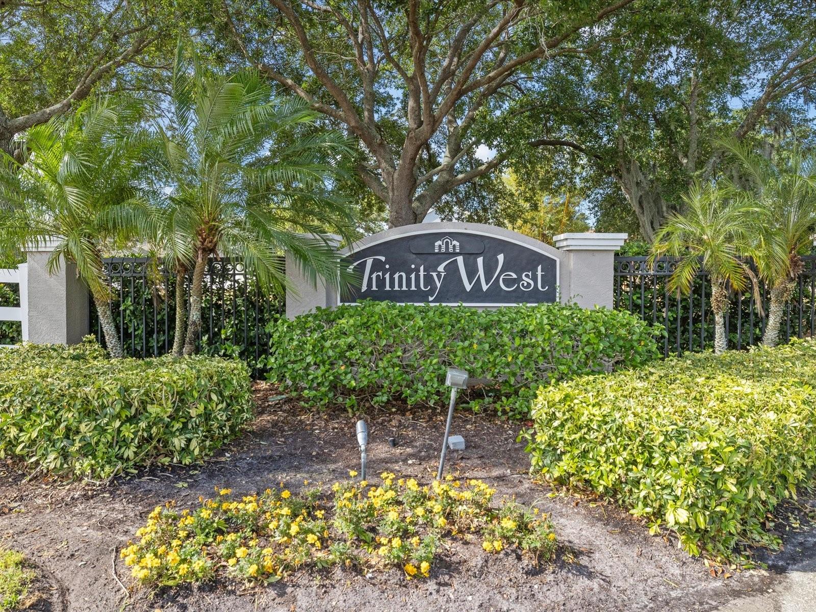 7935 CALINDRA CT, TRINITY, FL, 34655