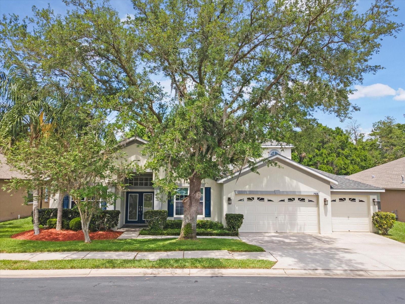 7935 CALINDRA CT, TRINITY, FL, 34655