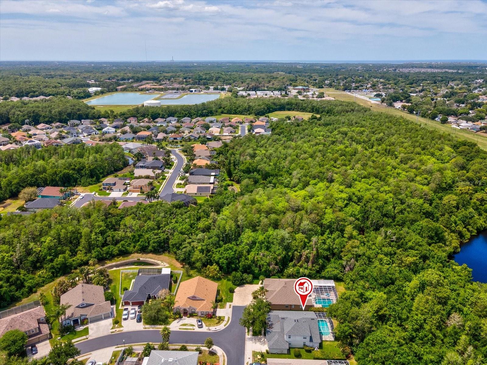 7935 CALINDRA CT, TRINITY, FL, 34655