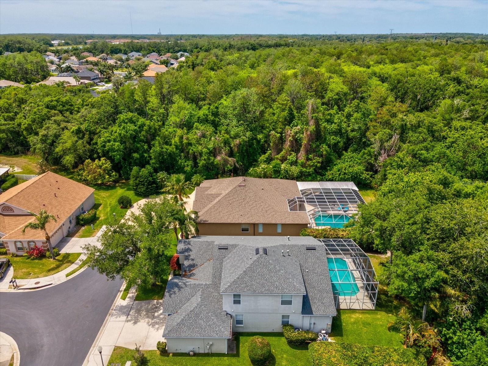 7935 CALINDRA CT, TRINITY, FL, 34655