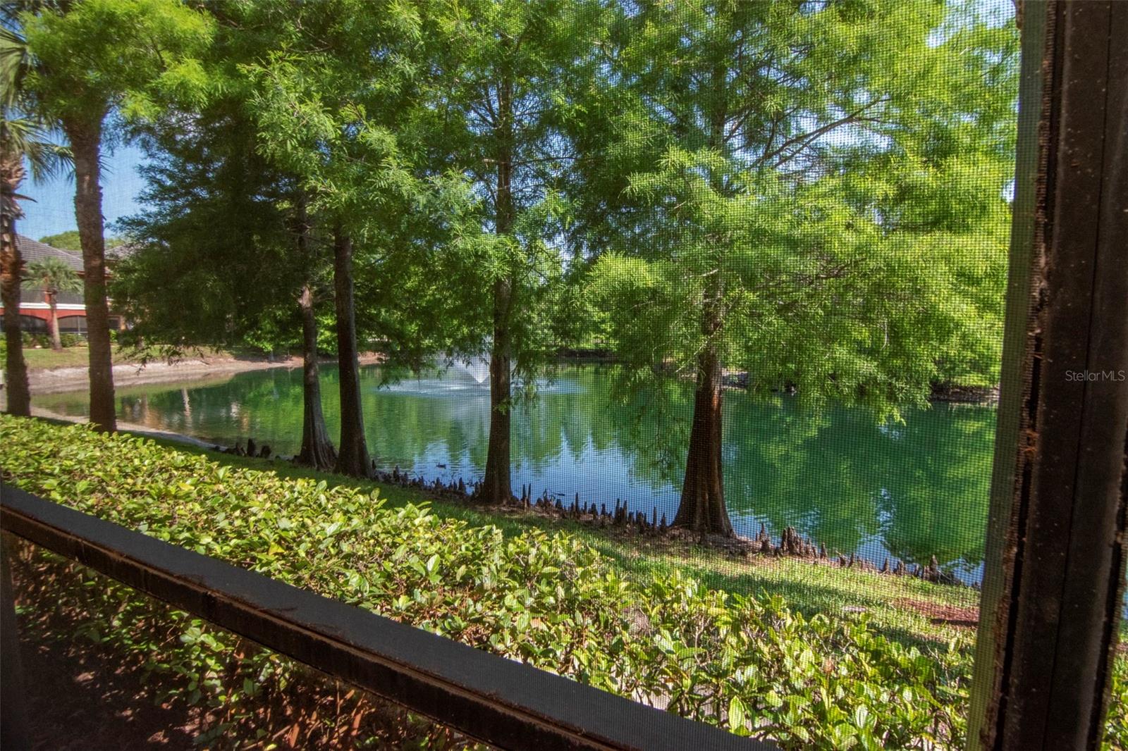 2173 TUSCANY TRCE #8, PALM HARBOR, FL, 34683