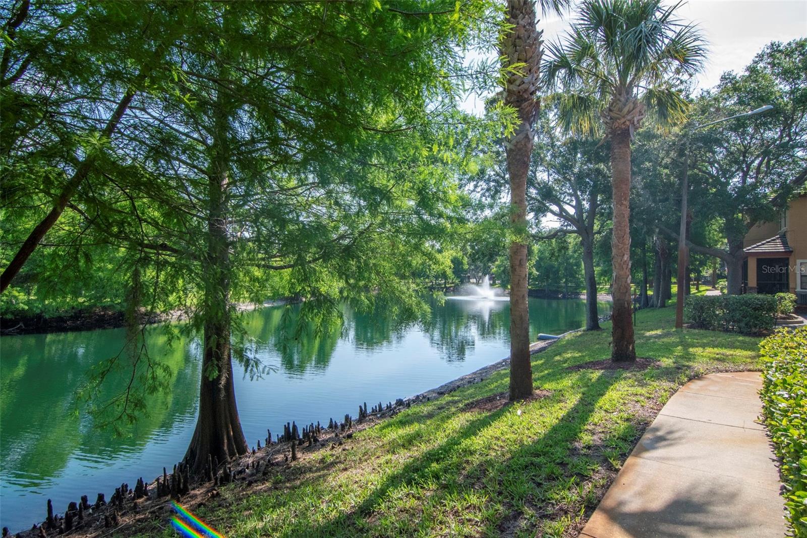 2173 TUSCANY TRCE #8, PALM HARBOR, FL, 34683