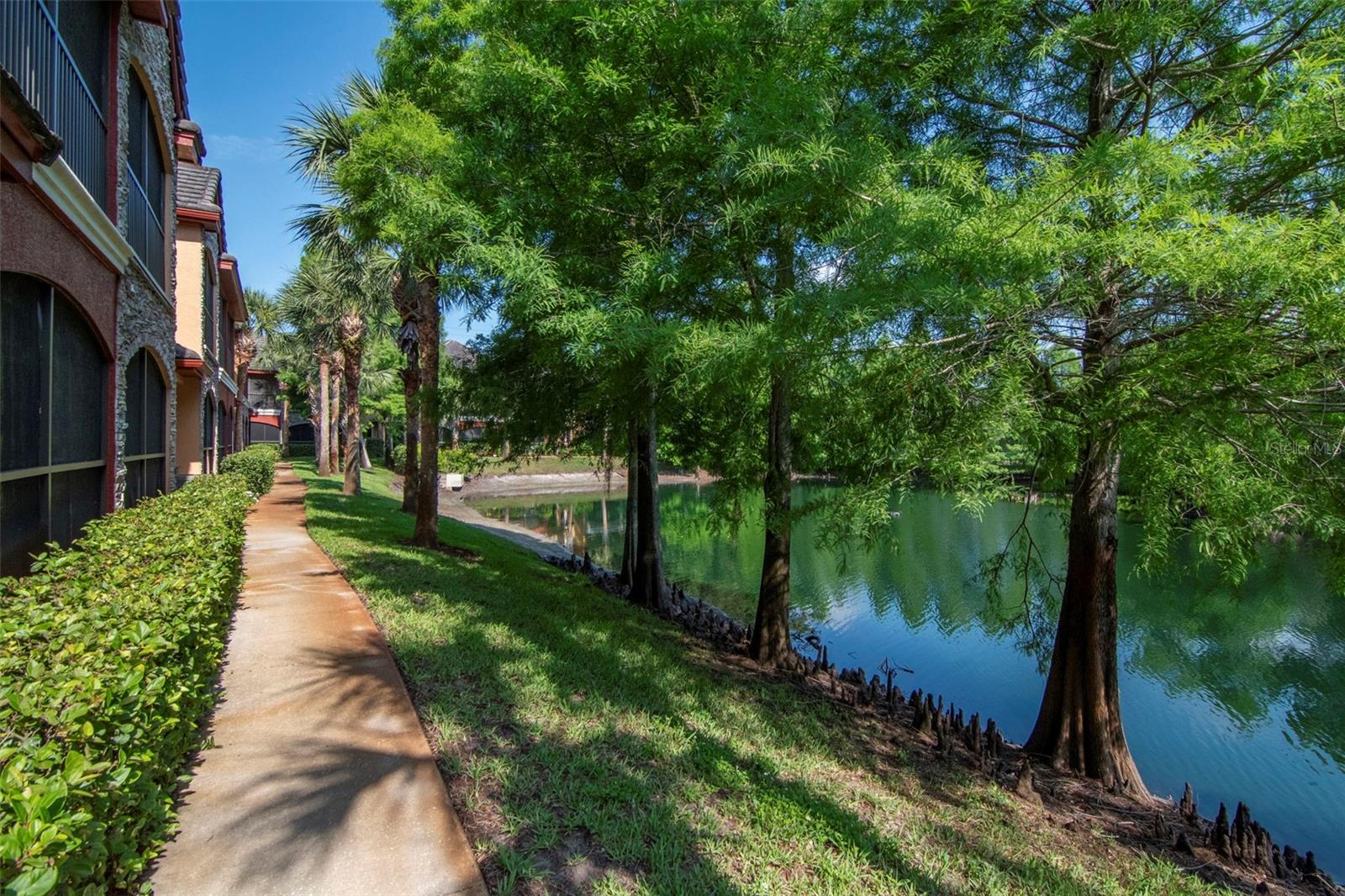 2173 TUSCANY TRCE #8, PALM HARBOR, FL, 34683