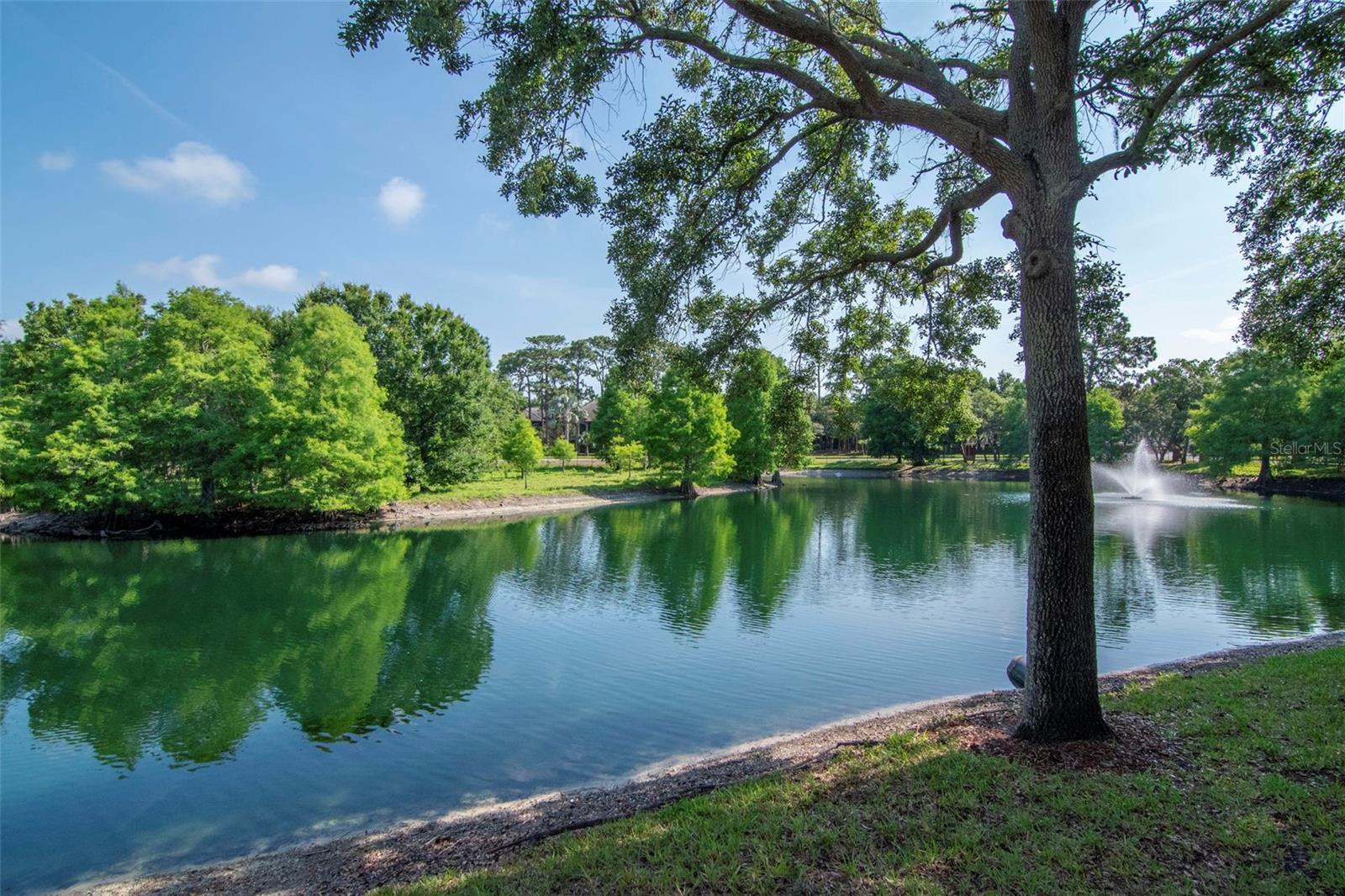 2173 TUSCANY TRCE #8, PALM HARBOR, FL, 34683