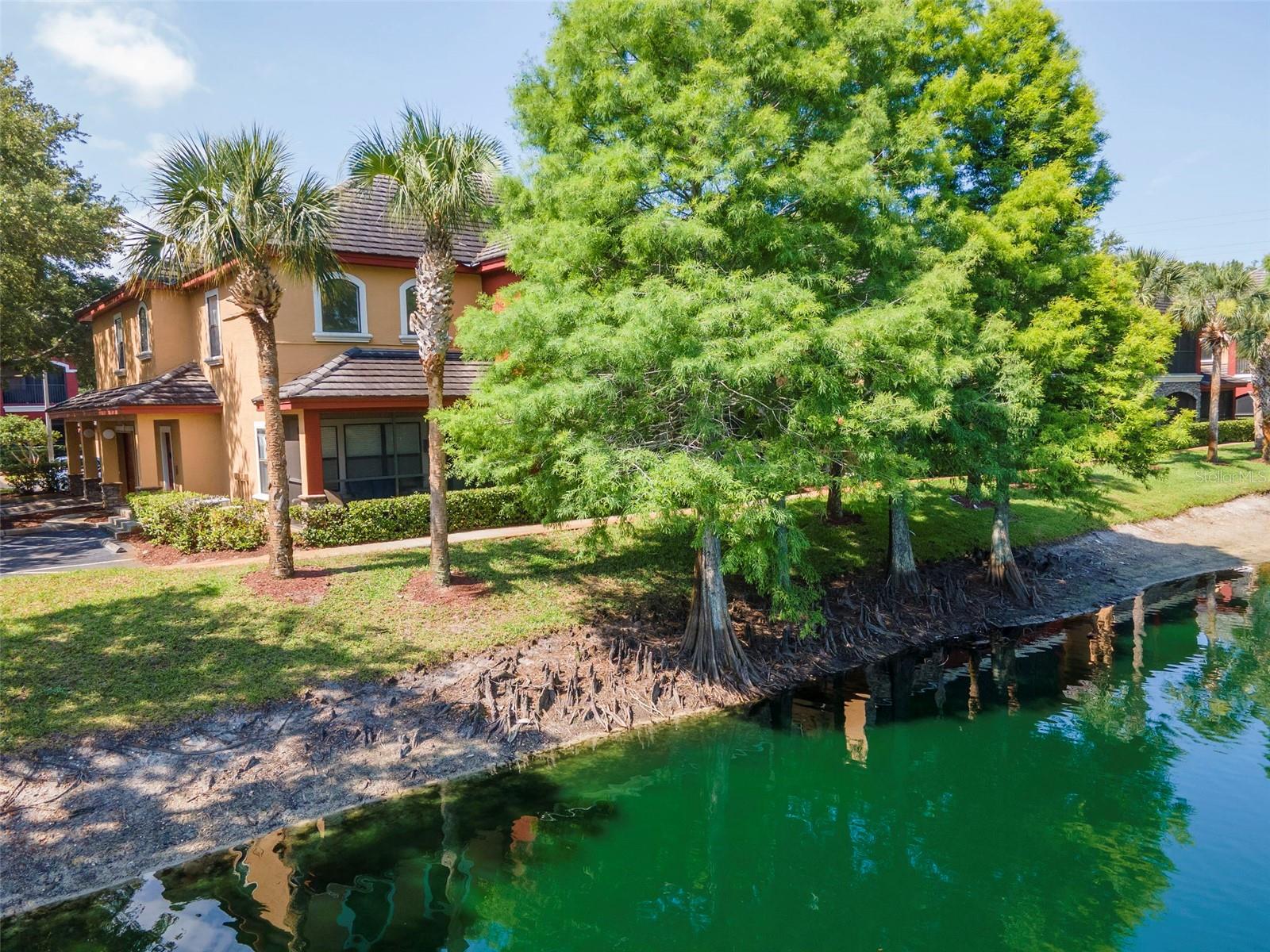 2173 TUSCANY TRCE #8, PALM HARBOR, FL, 34683