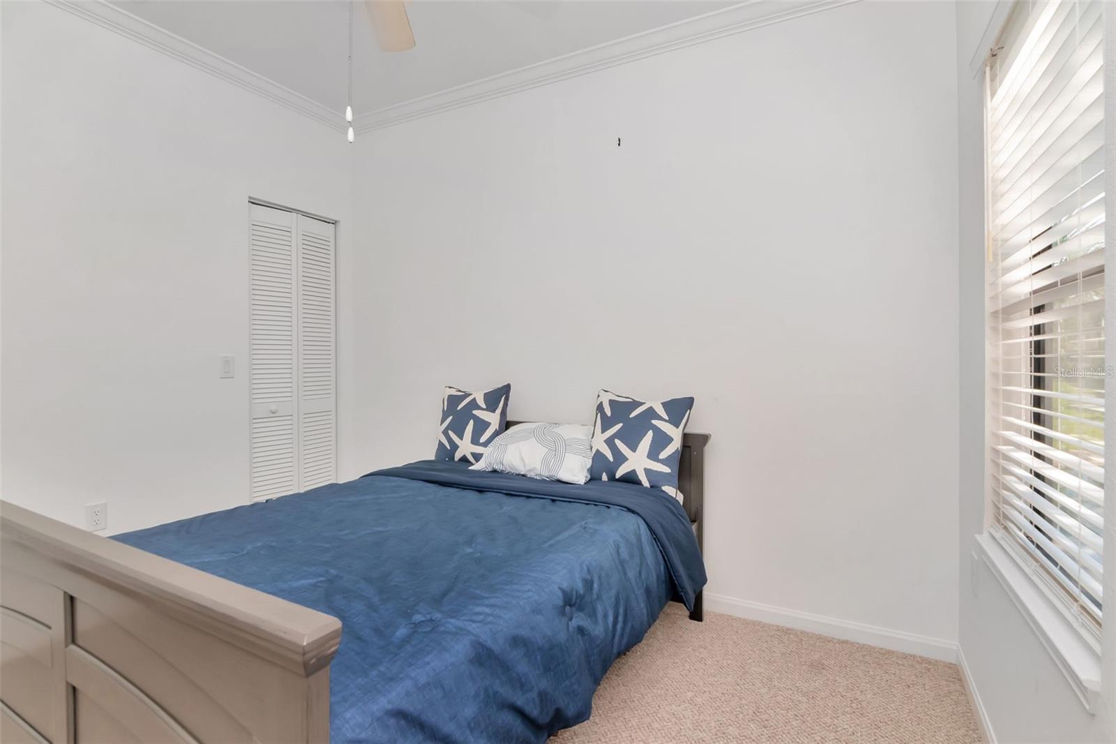 2173 TUSCANY TRCE #8, PALM HARBOR, FL, 34683