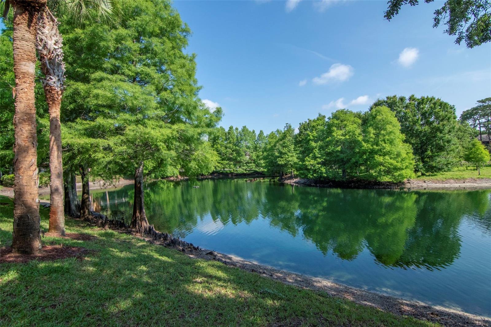 2173 TUSCANY TRCE #8, PALM HARBOR, FL, 34683