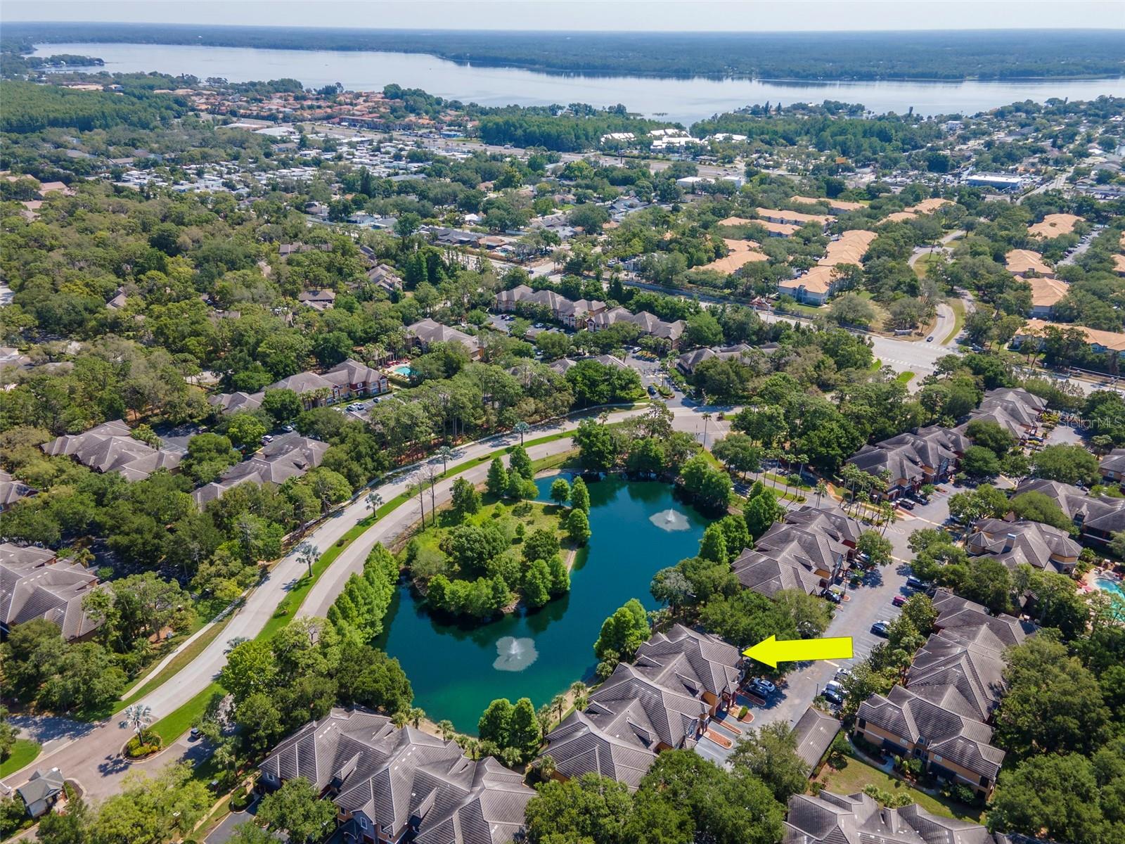 2173 TUSCANY TRCE #8, PALM HARBOR, FL, 34683