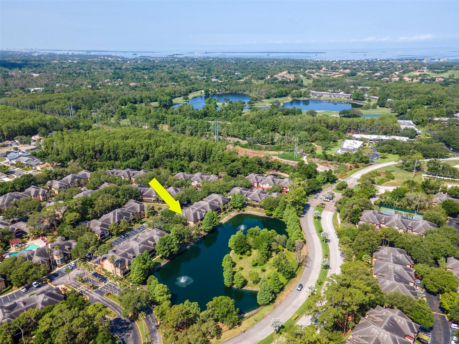 2173 TUSCANY TRCE #8, PALM HARBOR, FL, 34683