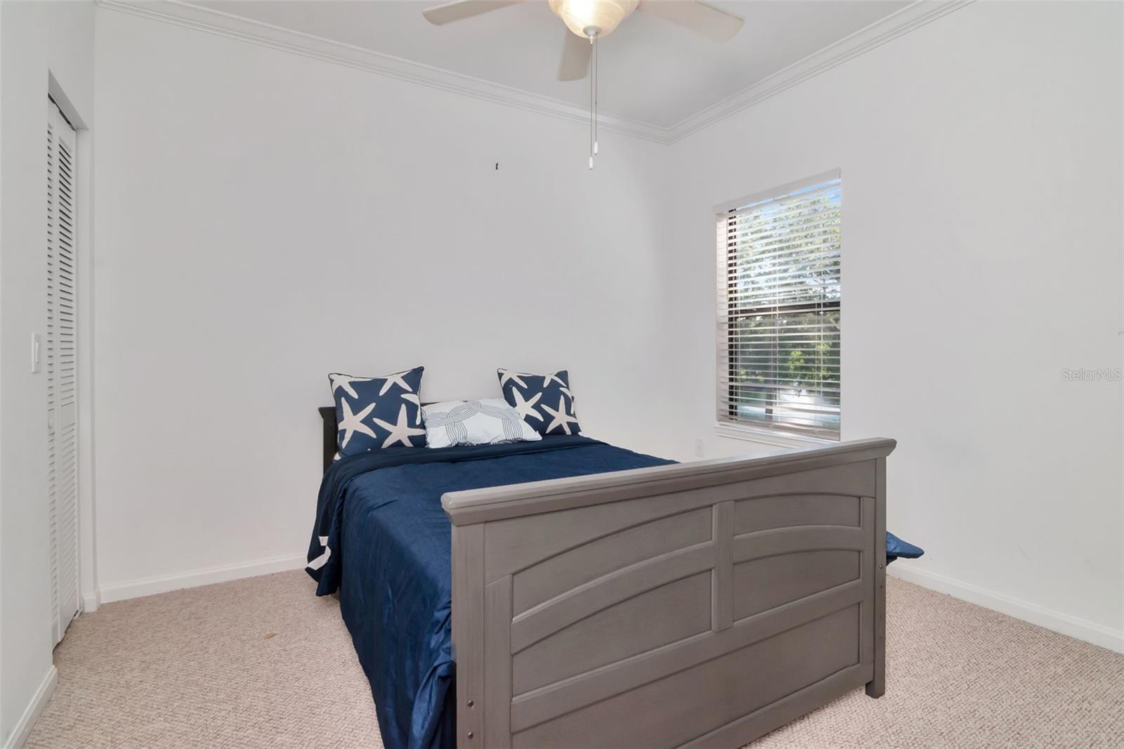 2173 TUSCANY TRCE #8, PALM HARBOR, FL, 34683