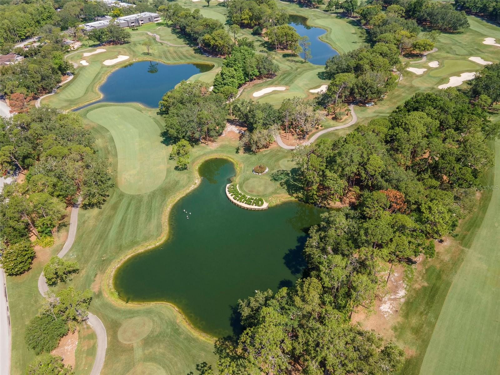 2173 TUSCANY TRCE #8, PALM HARBOR, FL, 34683