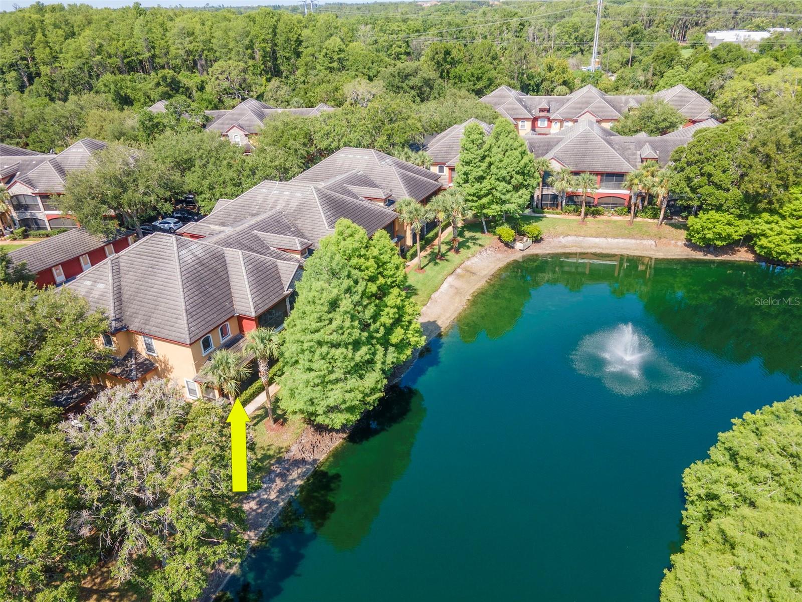 2173 TUSCANY TRCE #8, PALM HARBOR, FL, 34683