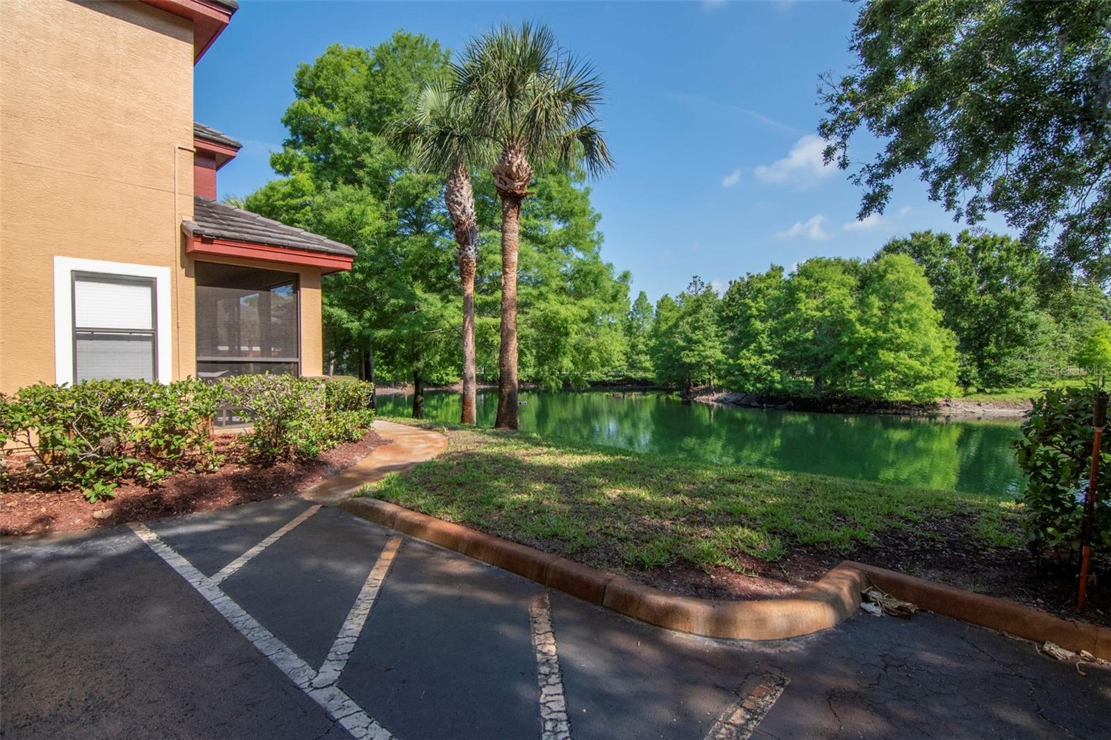 2173 TUSCANY TRCE #8, PALM HARBOR, FL, 34683