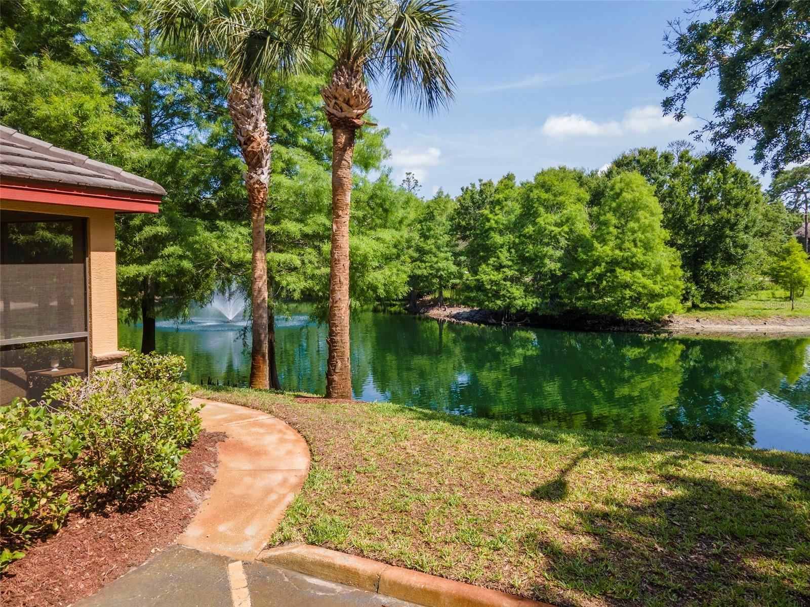 2173 TUSCANY TRCE #8, PALM HARBOR, FL, 34683