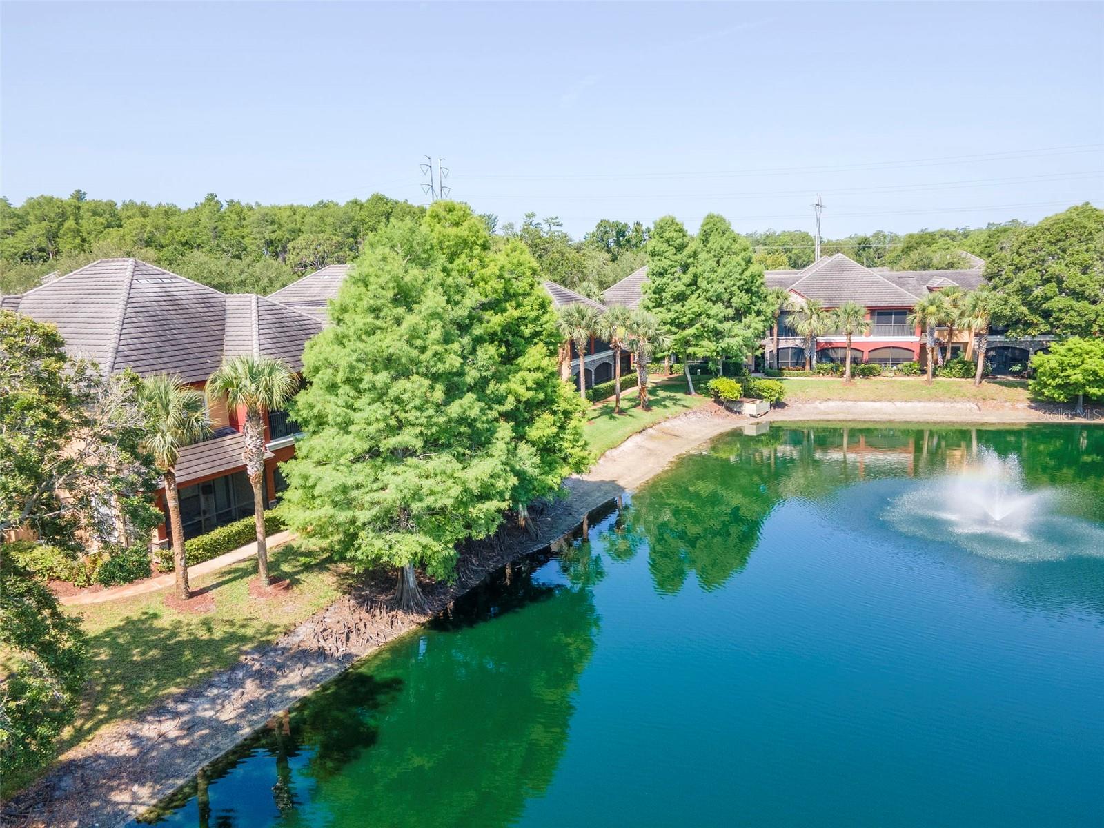 2173 TUSCANY TRCE #8, PALM HARBOR, FL, 34683