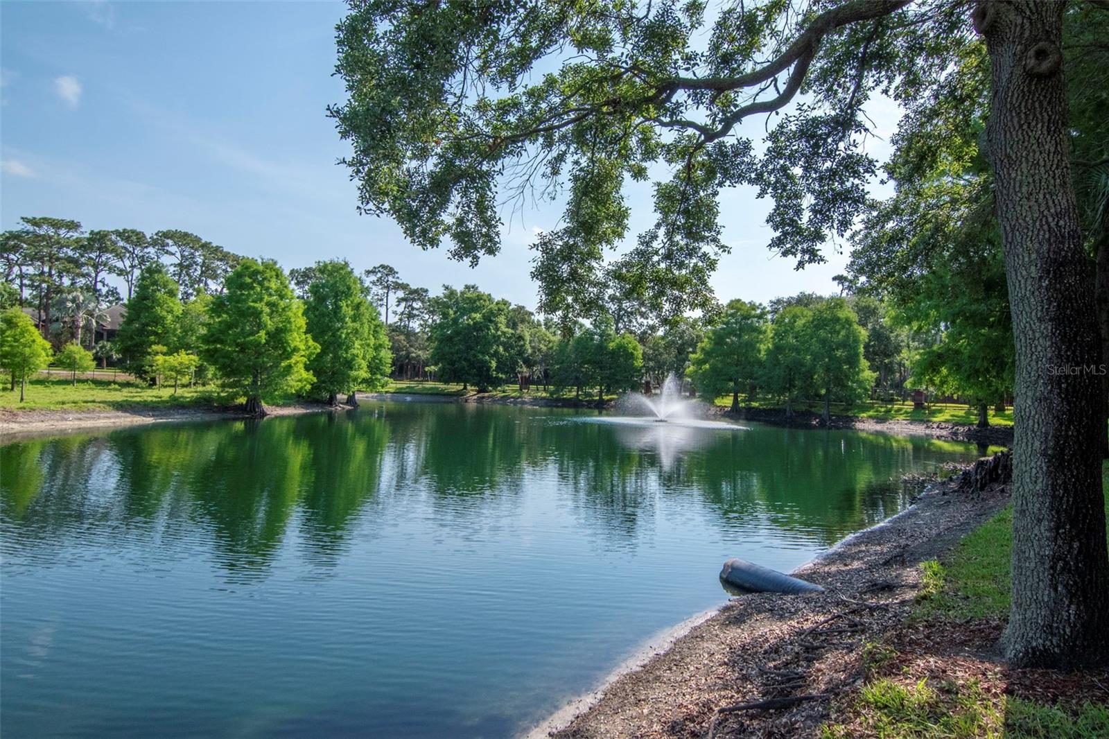 2173 TUSCANY TRCE #8, PALM HARBOR, FL, 34683