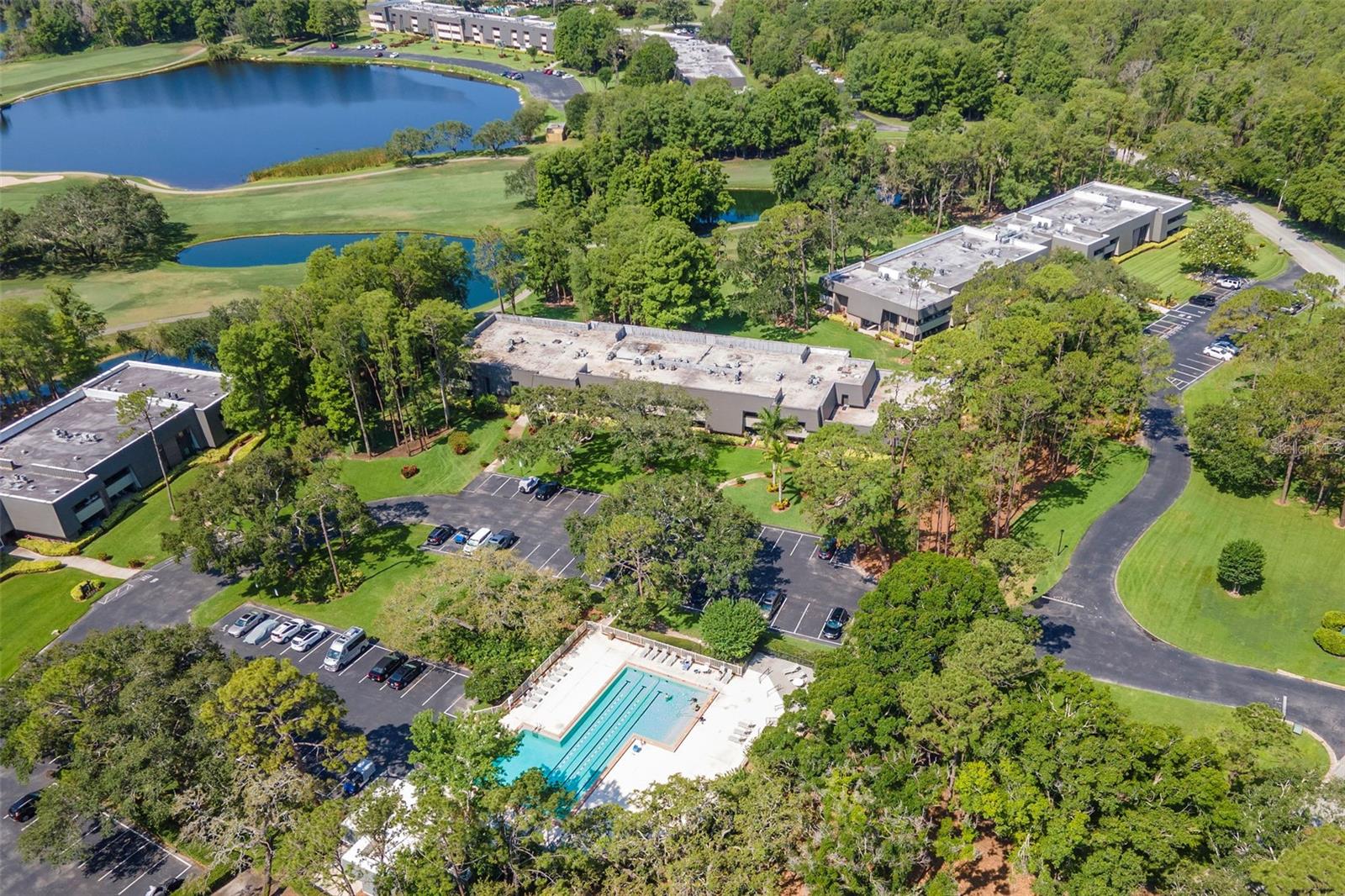 2173 TUSCANY TRCE #8, PALM HARBOR, FL, 34683