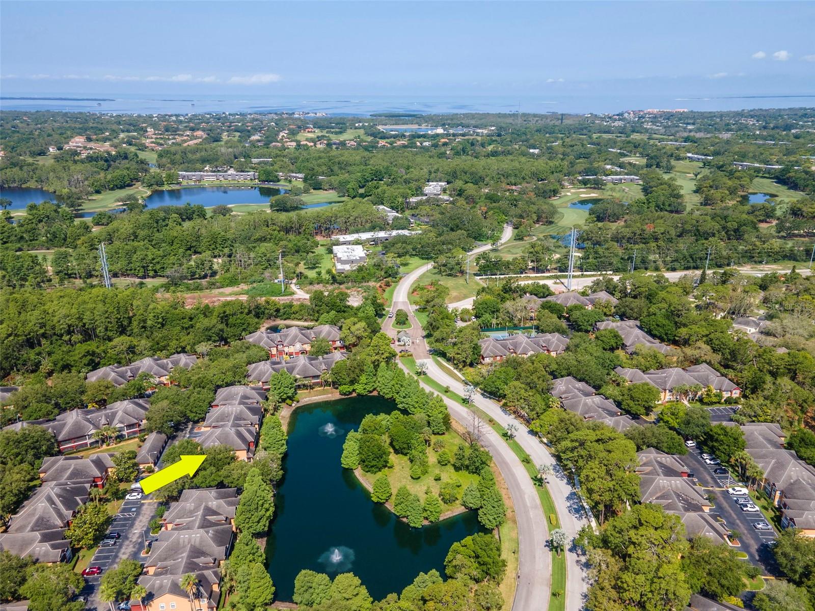 2173 TUSCANY TRCE #8, PALM HARBOR, FL, 34683