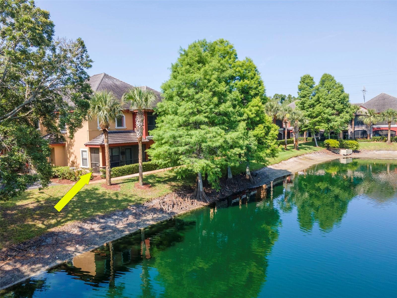 2173 TUSCANY TRCE #8, PALM HARBOR, FL, 34683