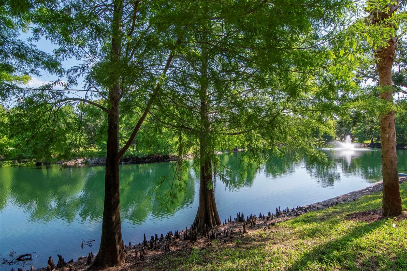 2173 TUSCANY TRCE #8, PALM HARBOR, FL, 34683