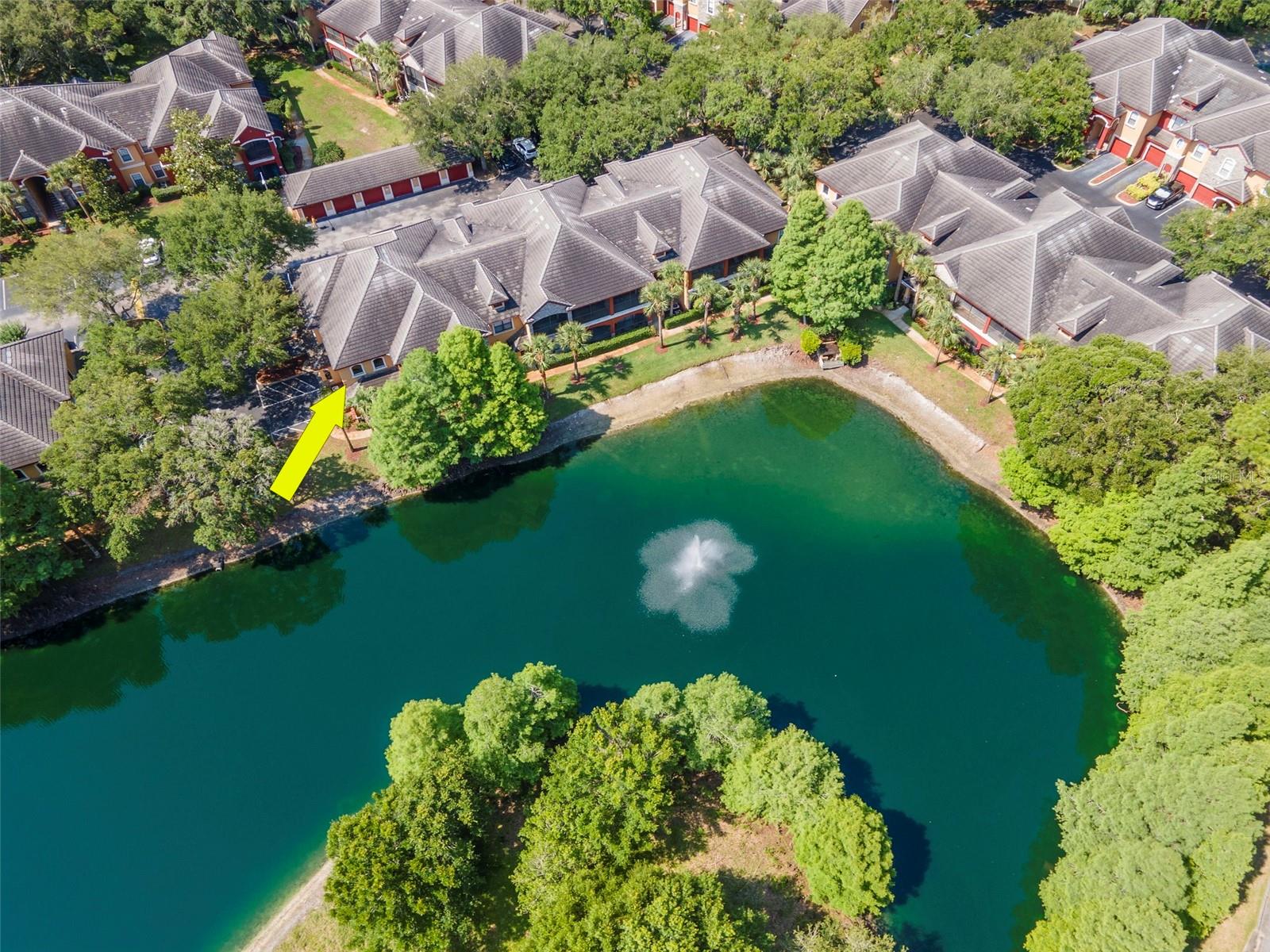 2173 TUSCANY TRCE #8, PALM HARBOR, FL, 34683