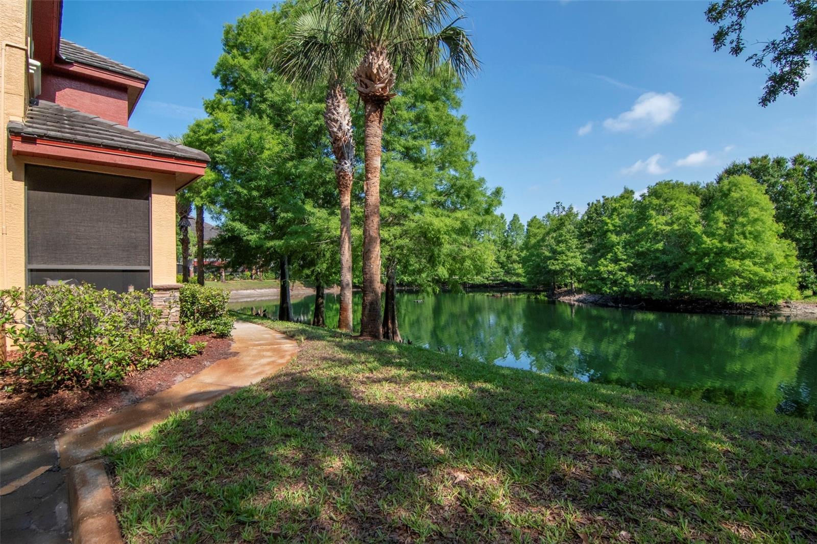 2173 TUSCANY TRCE #8, PALM HARBOR, FL, 34683