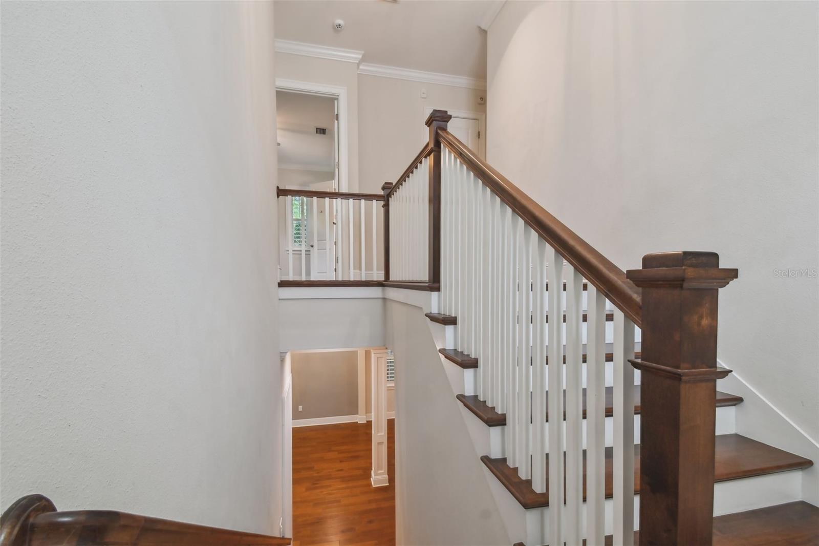 3109 W GRANADA ST, TAMPA, FL, 33629