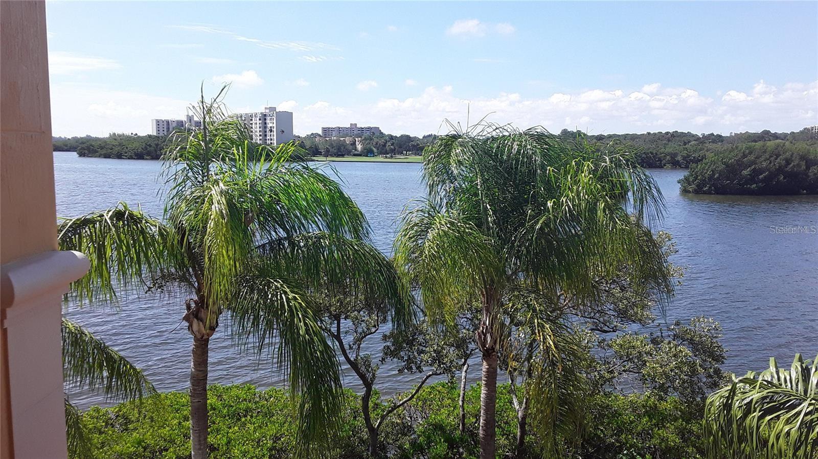 2732 VIA MURANO #536, CLEARWATER, FL, 33764