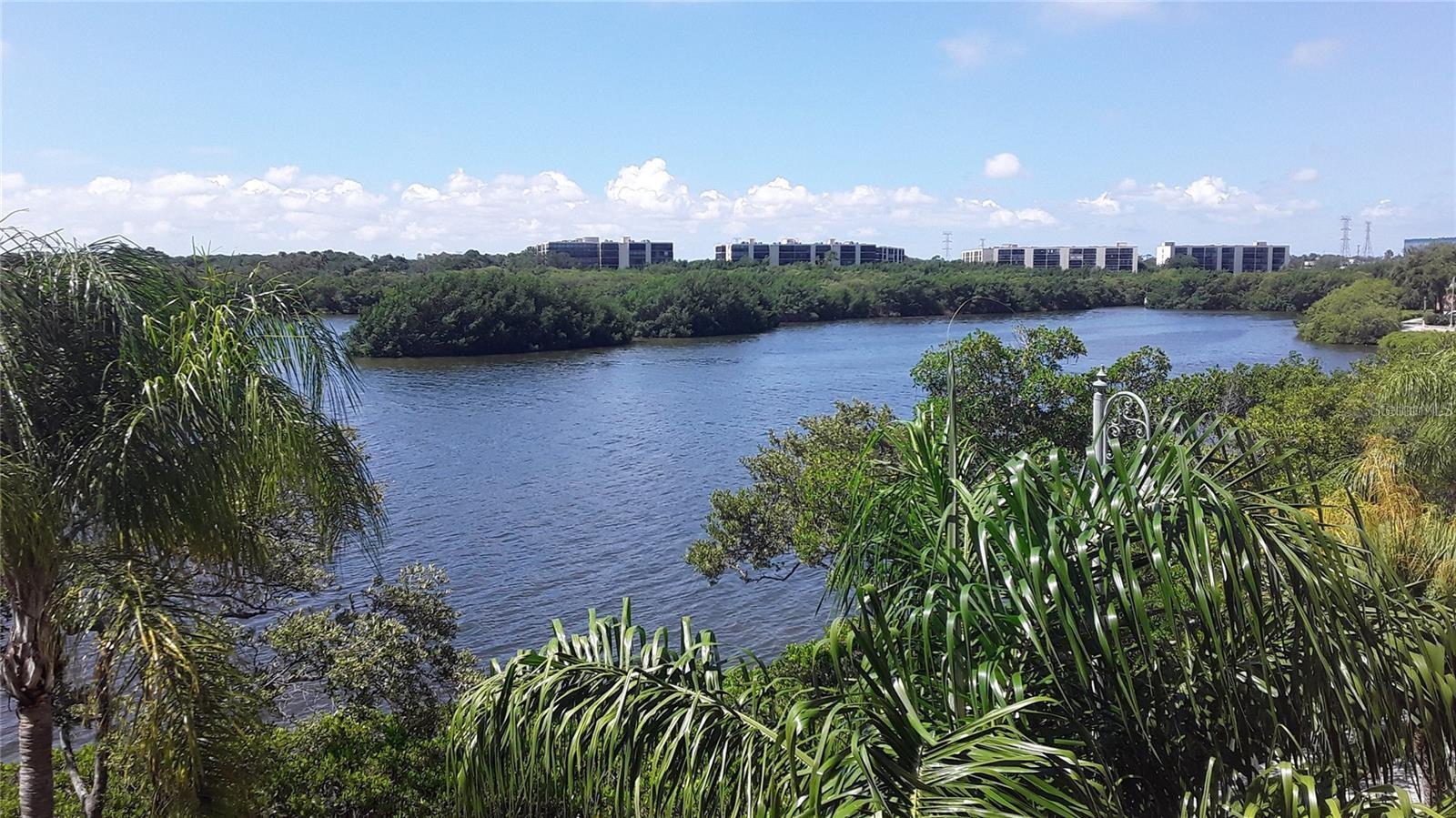 2732 VIA MURANO #536, CLEARWATER, FL, 33764