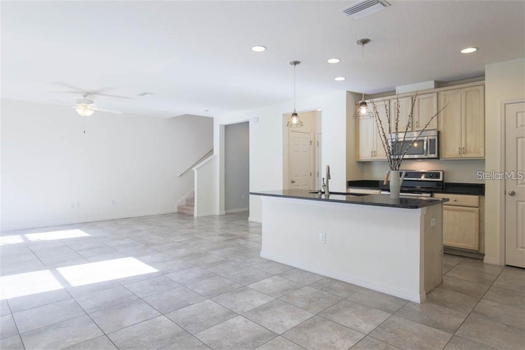 5208 BANNISTER PARK LN, LITHIA, FL, 33547