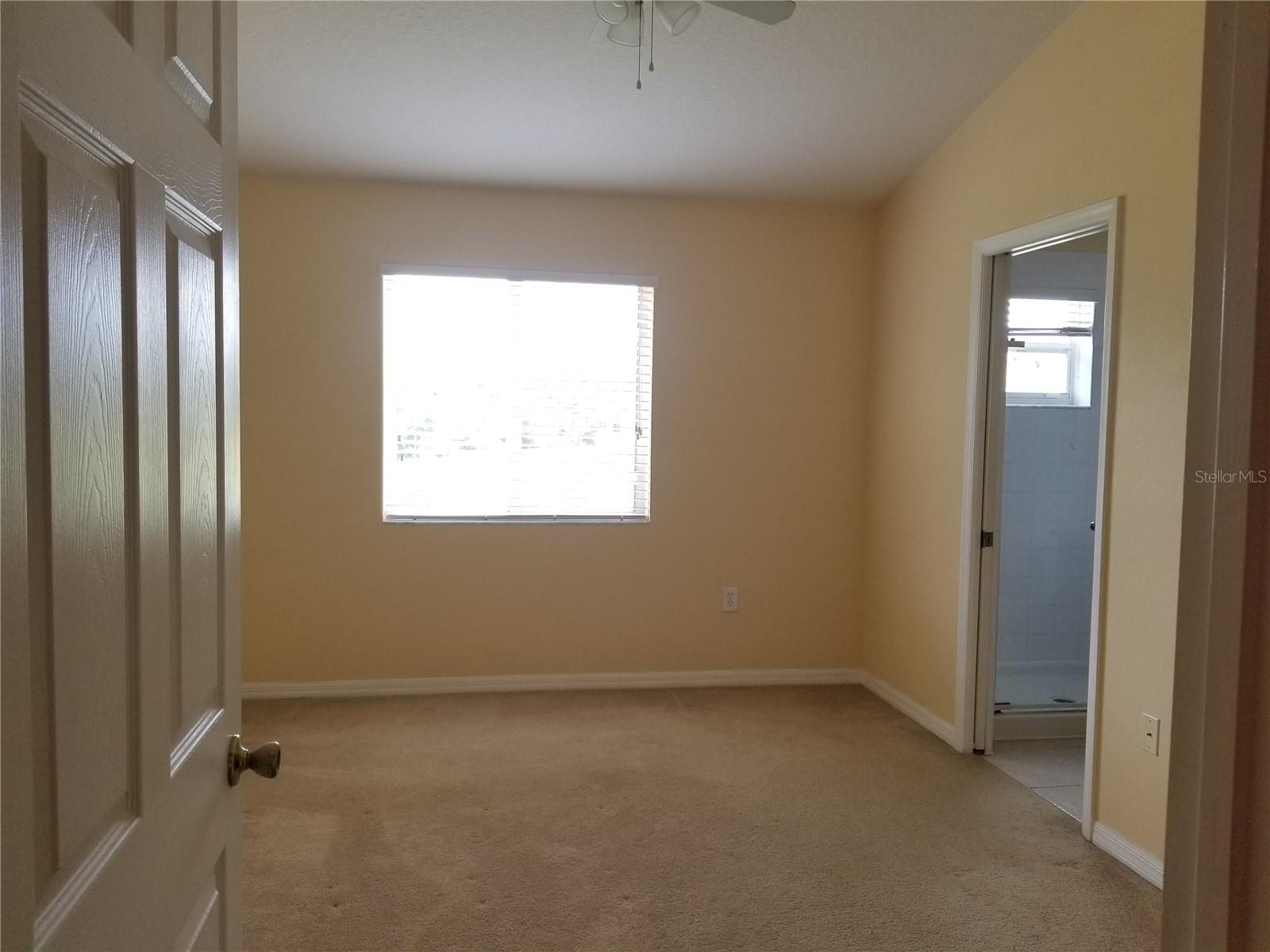 8575 TRAIL WIND DR, TAMPA, FL, 33647