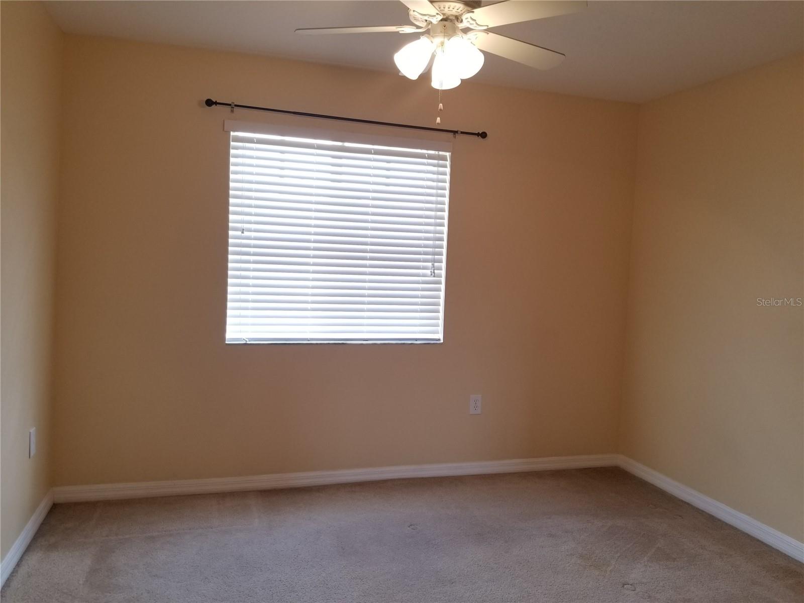 8575 TRAIL WIND DR, TAMPA, FL, 33647