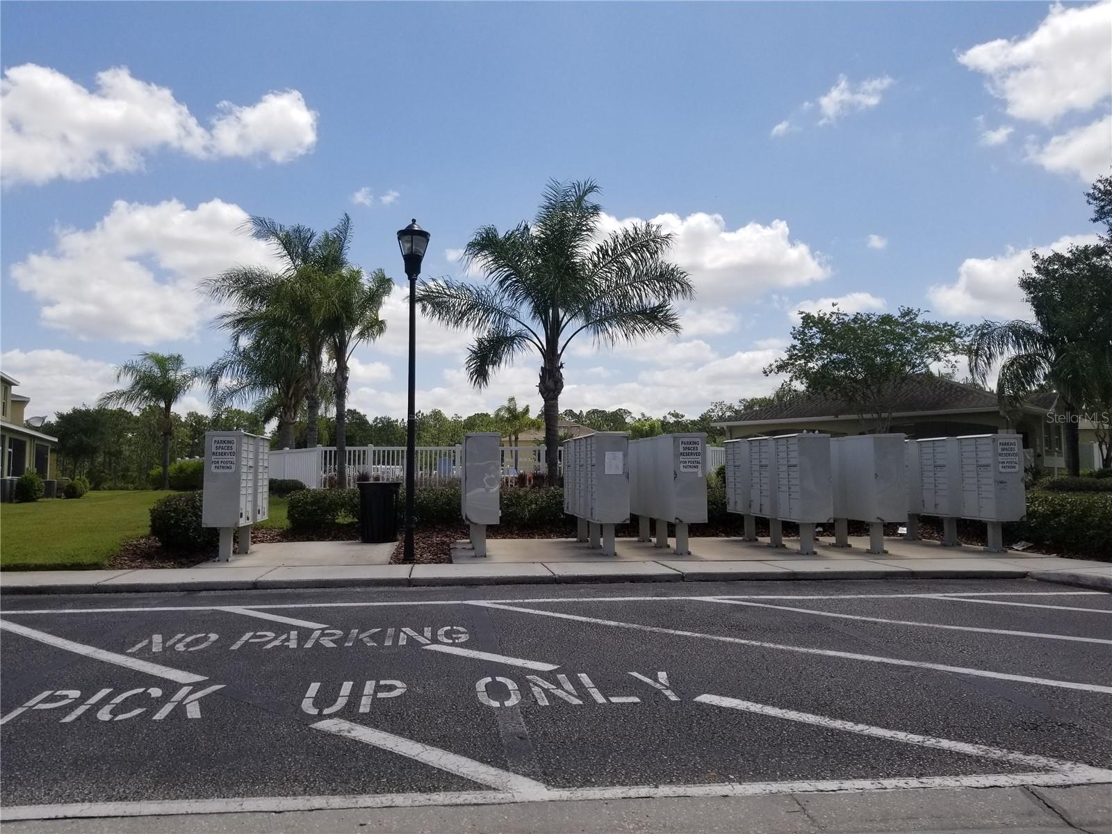 8575 TRAIL WIND DR, TAMPA, FL, 33647