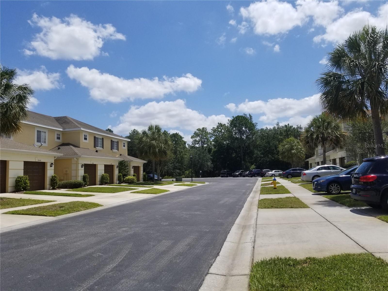 8575 TRAIL WIND DR, TAMPA, FL, 33647