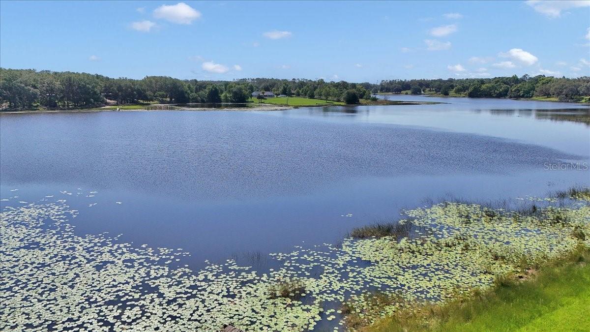 16386 SE 156TH PLACE RD, WEIRSDALE, FL, 32195