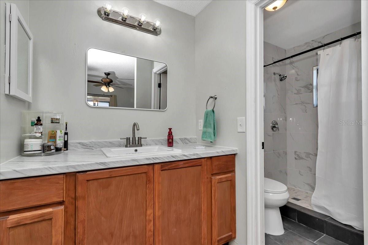 16386 SE 156TH PLACE RD, WEIRSDALE, FL, 32195