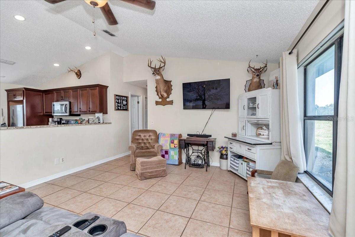 16386 SE 156TH PLACE RD, WEIRSDALE, FL, 32195