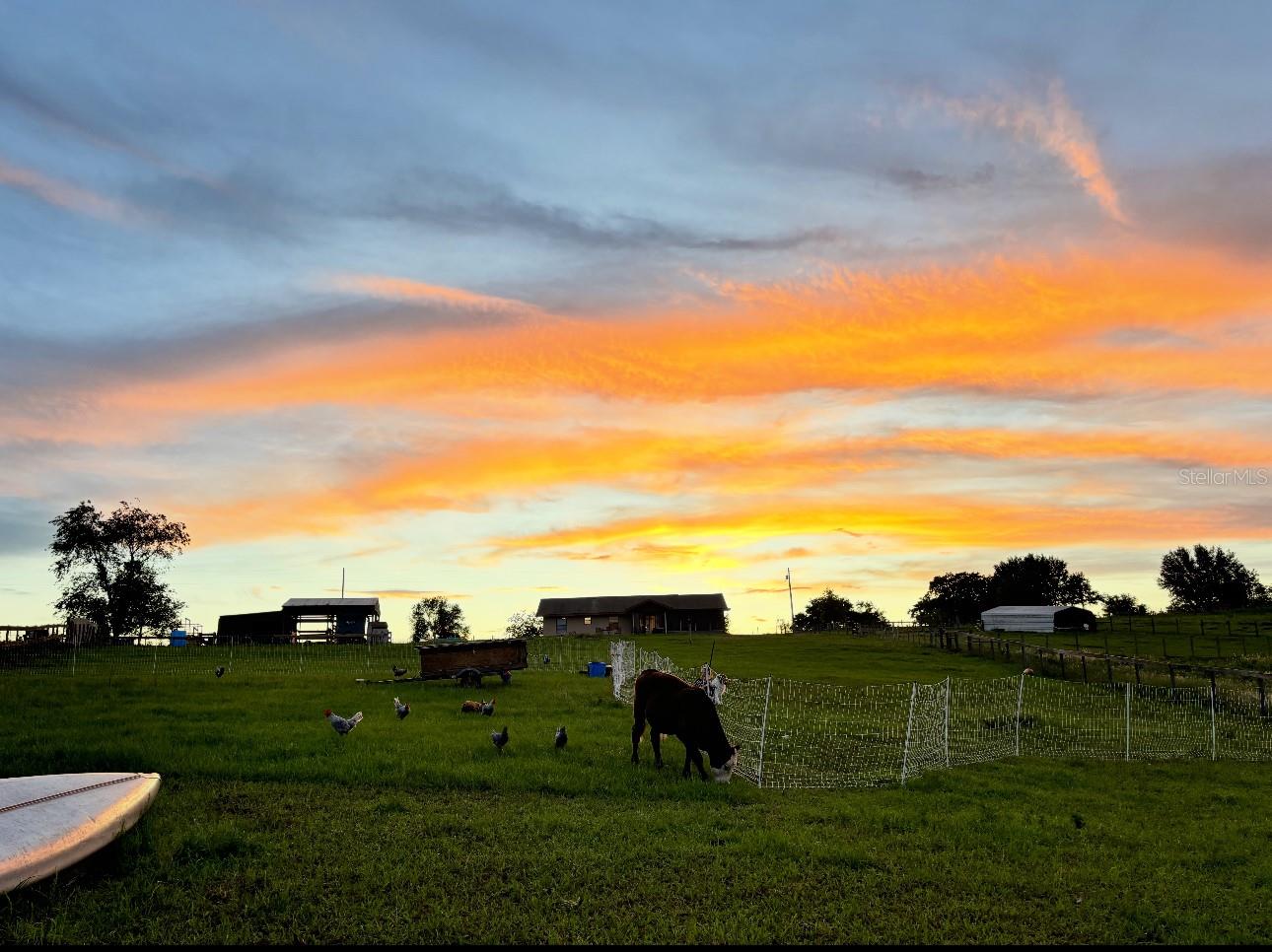 16386 SE 156TH PLACE RD, WEIRSDALE, FL, 32195