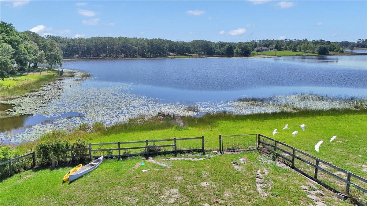 16386 SE 156TH PLACE RD, WEIRSDALE, FL, 32195