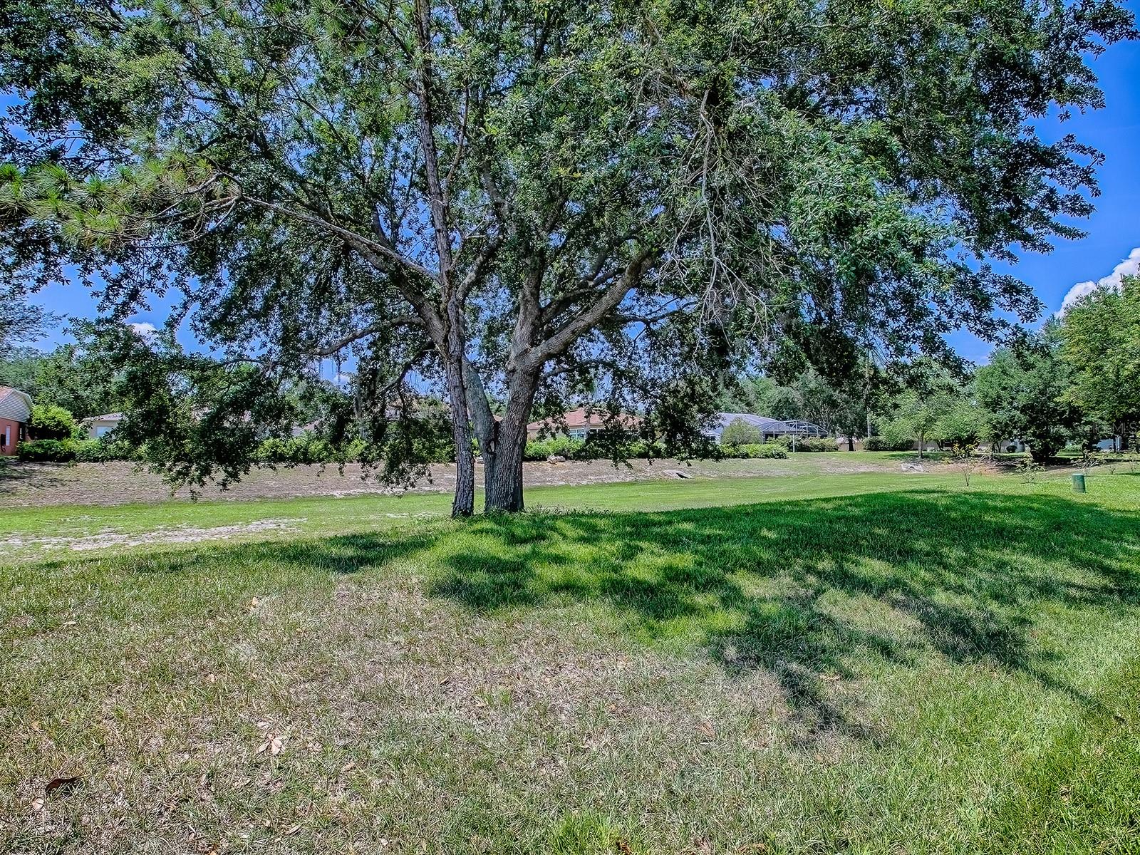 1016 EAGLES LNDG, LEESBURG, FL, 34748