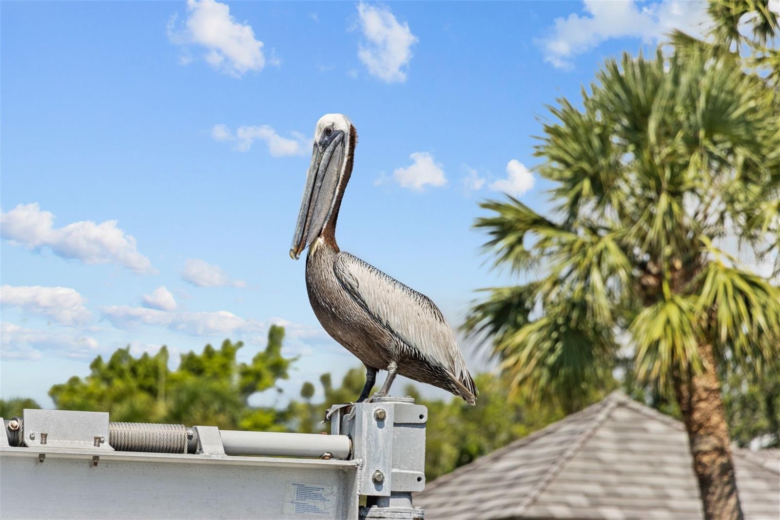 11 BRIGHTWATERS CIR NE, ST PETERSBURG, FL, 33704