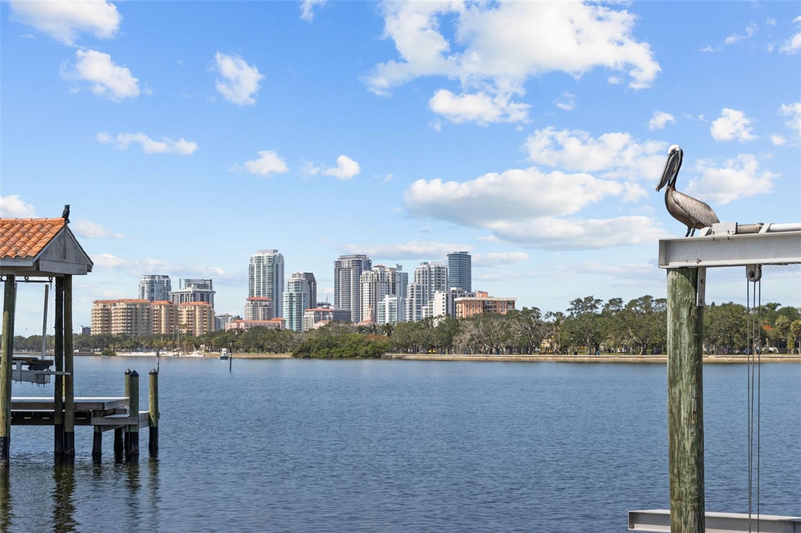 11 BRIGHTWATERS CIR NE, ST PETERSBURG, FL, 33704