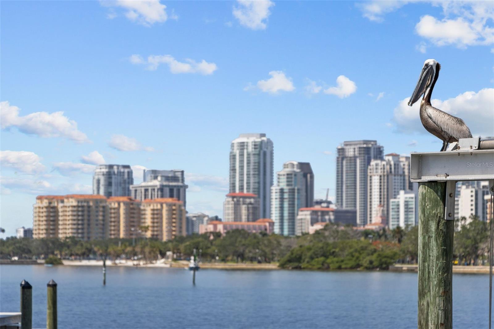 11 BRIGHTWATERS CIR NE, ST PETERSBURG, FL, 33704