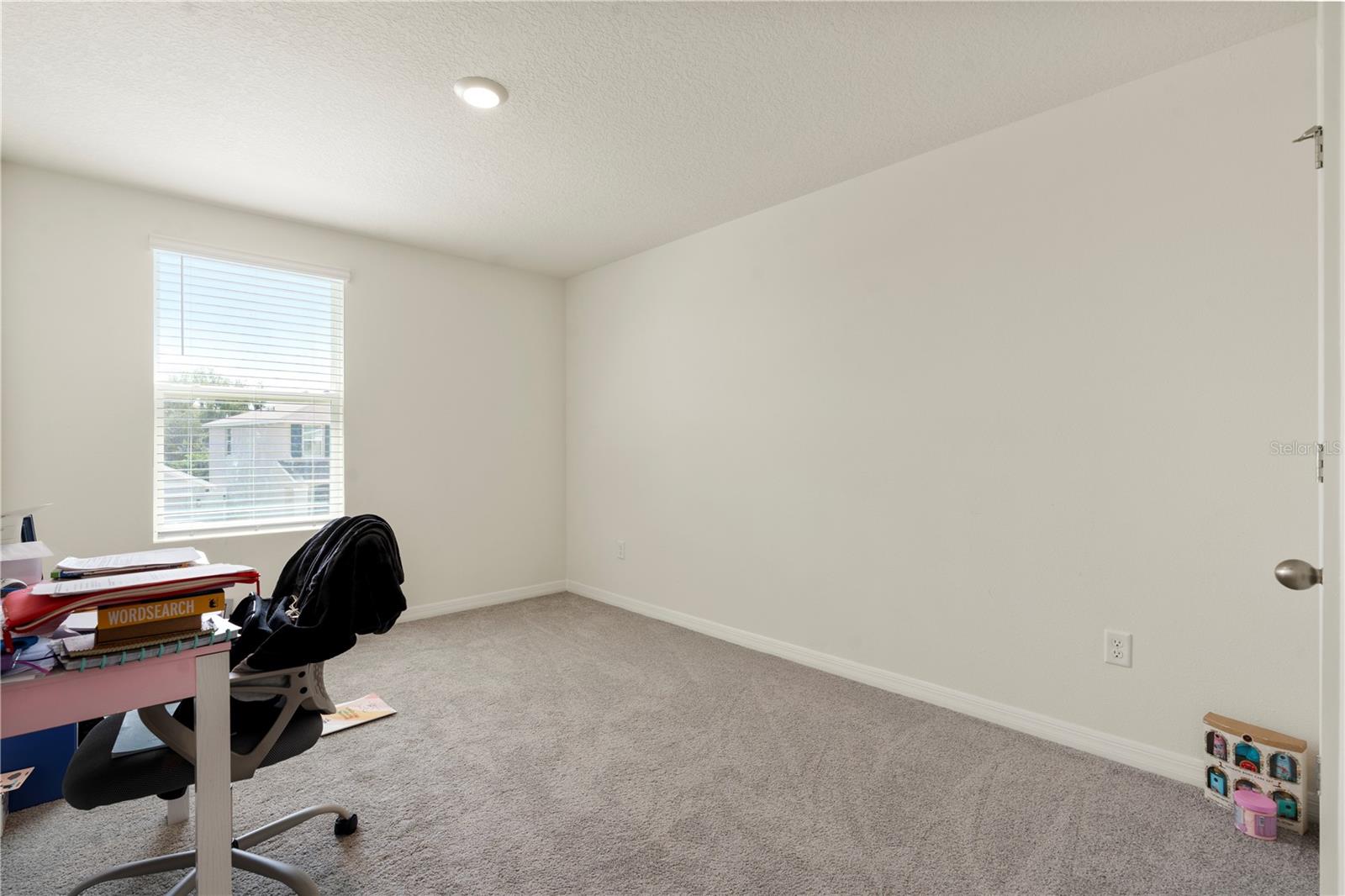 13727 WHISKEY DAISY DR, DADE CITY, FL, 33525