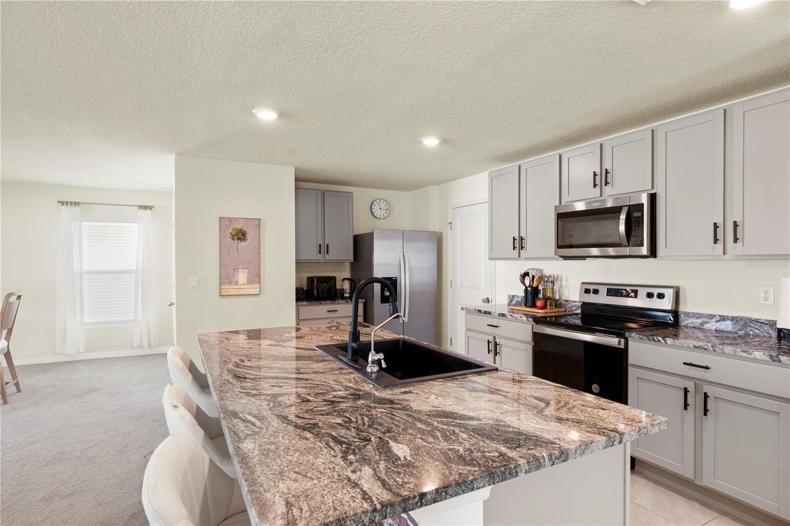 13727 WHISKEY DAISY DR, DADE CITY, FL, 33525