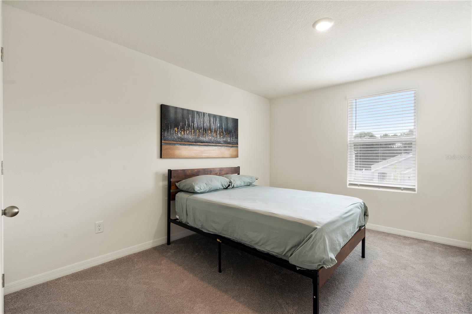 13727 WHISKEY DAISY DR, DADE CITY, FL, 33525