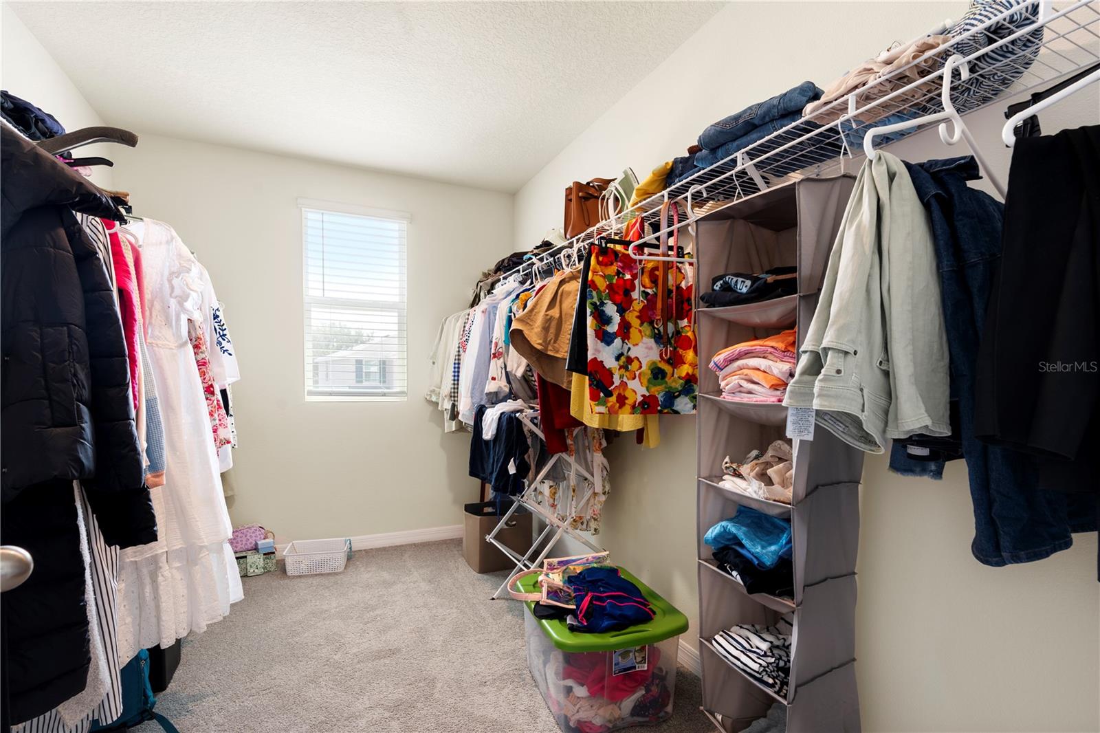 13727 WHISKEY DAISY DR, DADE CITY, FL, 33525