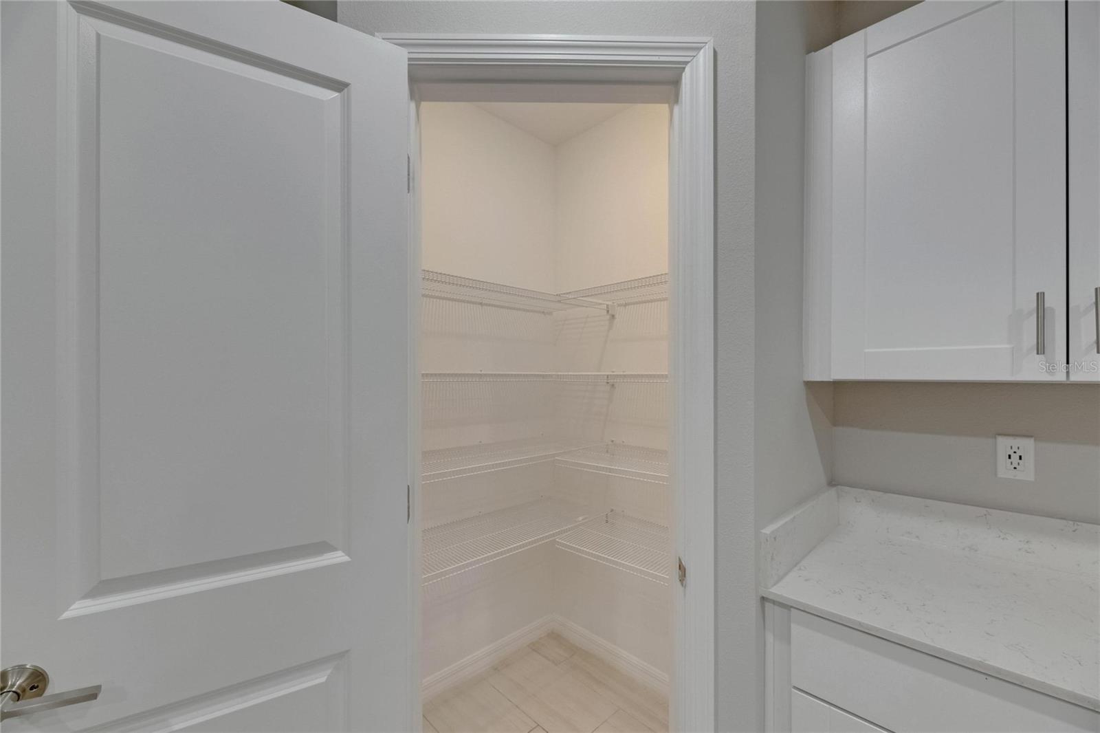 12617 MAPLE BONSAI DR, RIVERVIEW, FL, 33579